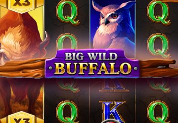 Слот Big Wild Buffalo в Slottica Casino